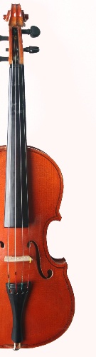 Violon